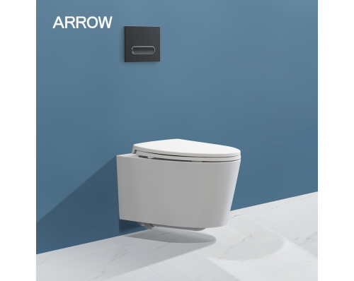 Bồn cầu treo tường Arrow AHB21002H/PG015-ZPA